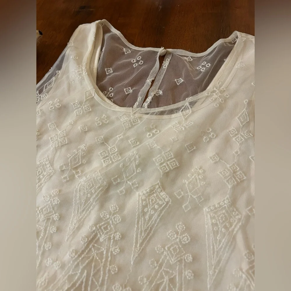 American Eagle Ivory Lace Overlay Dress– Size 6 | Embroidered | Boho Cottagecore - Picture 4 of 16